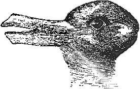 Rabbit-duck illusion