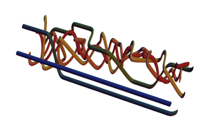 Visualization of the 720 permutations of six objects