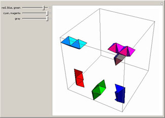 3D Dissection Puzzle