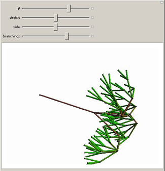 Tree Branching in 4D