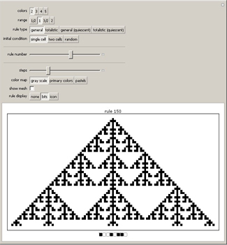 Cellular Automaton Explorer